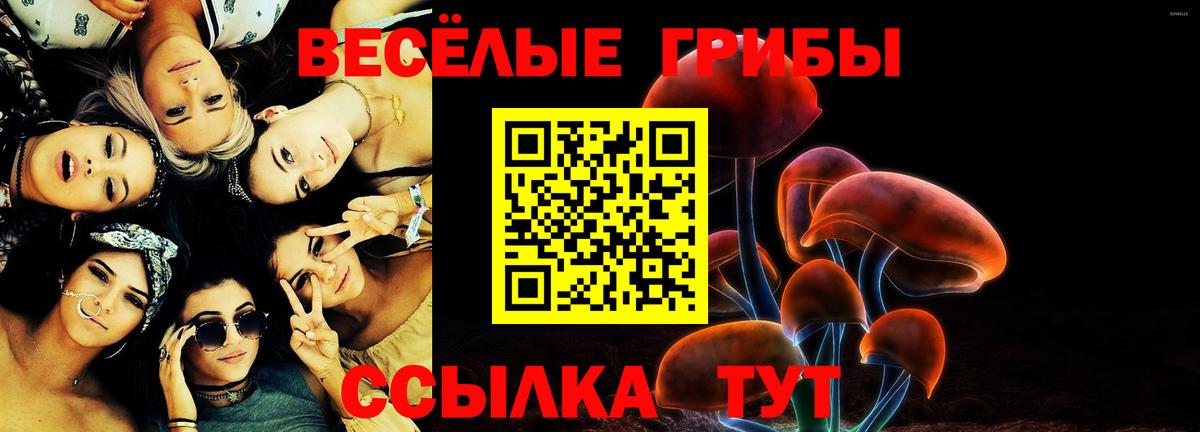 Галлюциногенные грибы Psilocybe  Галлюциногенные грибы мицелий  как найти   Лениногорск  Вход с VPN 